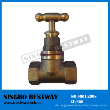 Hot Sale Gunmetal Stop Cock Valve Supplier (BW-Q1)